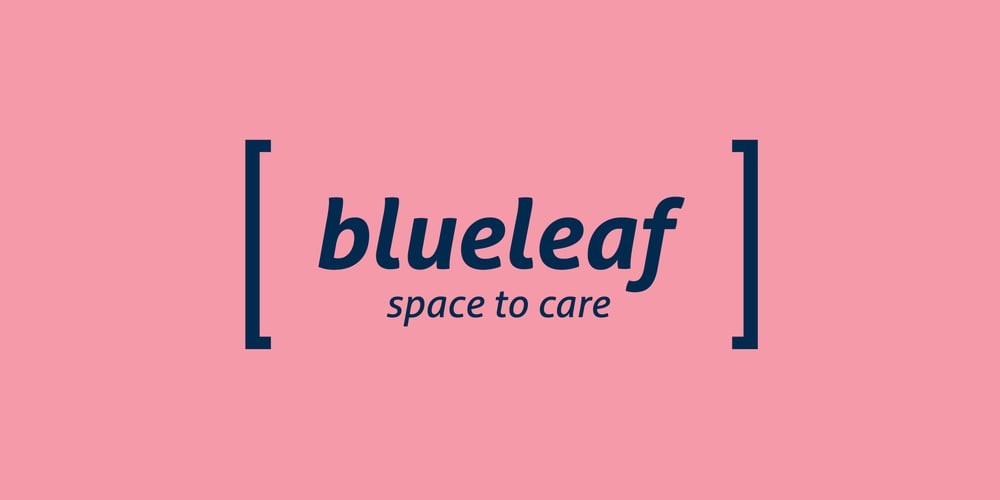 BLUELEAF_CaseStudy_Visuals_1200x600