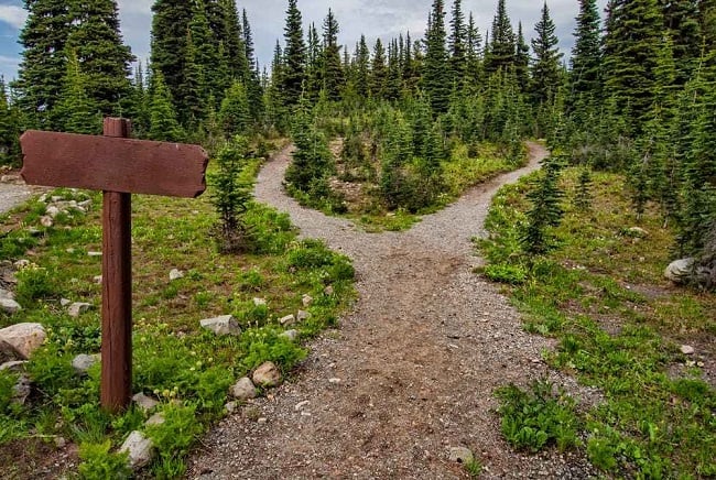 Routes to market - Is your business missing out on extra revenue