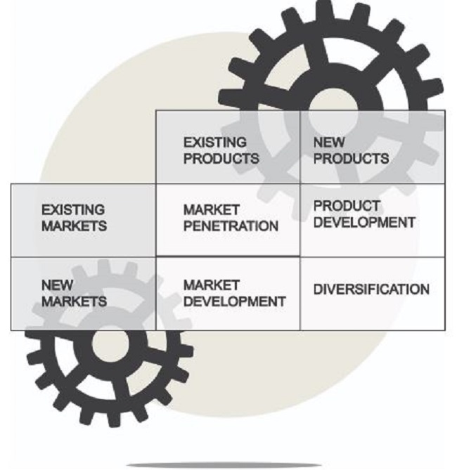 Ansoff Matrix-4