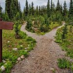 Route to market: Is your business missing out on extra revenue?