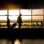 Expanding beyond the uk? The marketing guide for scale-ups